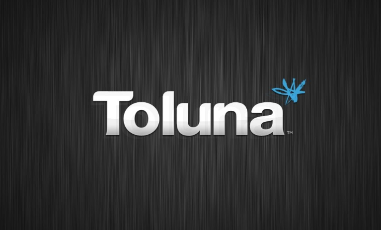 Więcej informacji o „Toluna - Opinie - zarabiaj na wypełnianiu ankiet i wyrażaniu opinii”