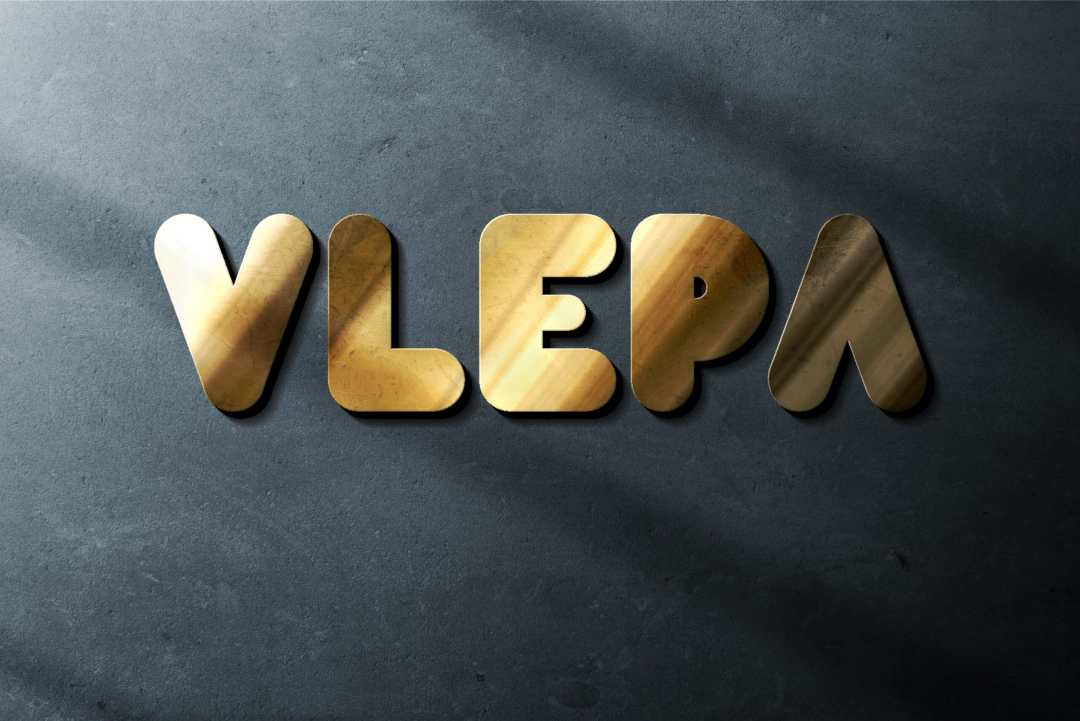 vlepa_mockup-scaled (1).jpg