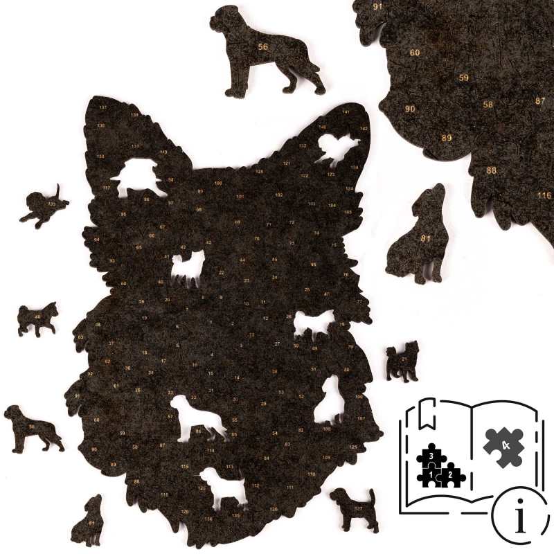 2024.08.28_packshot-004 — rewers.jpg