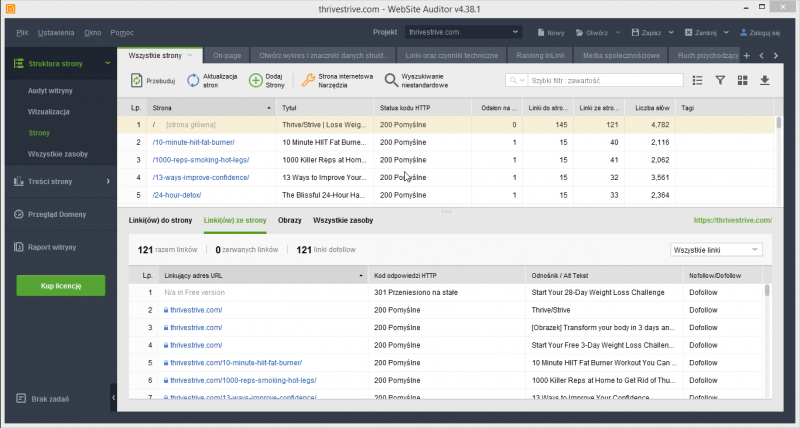 Website Auditor - jak używać?