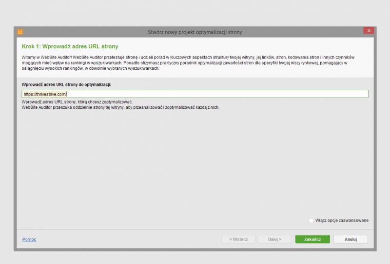 SEO - Website Auditor - jak używać program?
