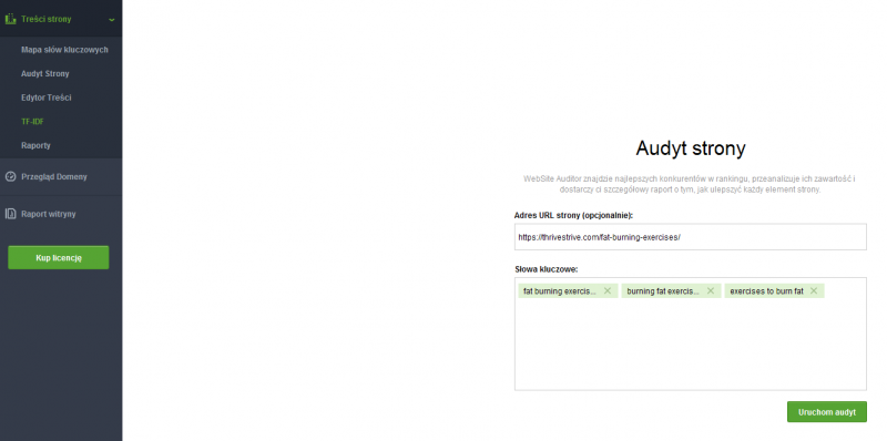 SEO - Website Auditor - poradnik