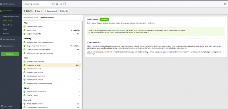 SEO - Website Auditor - optymalizacja treści
