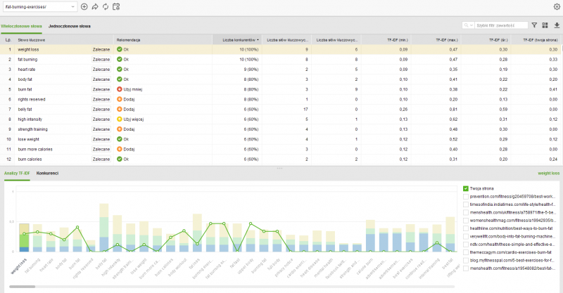 SEO - Website Auditor