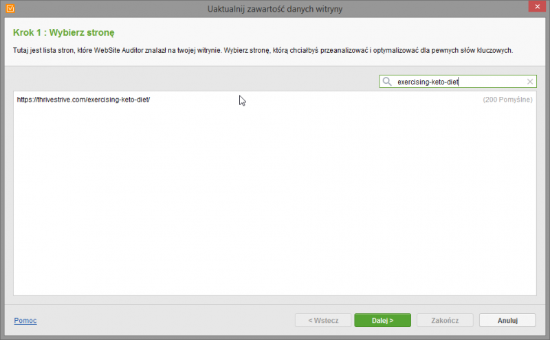 audyt strony internetowej - seo