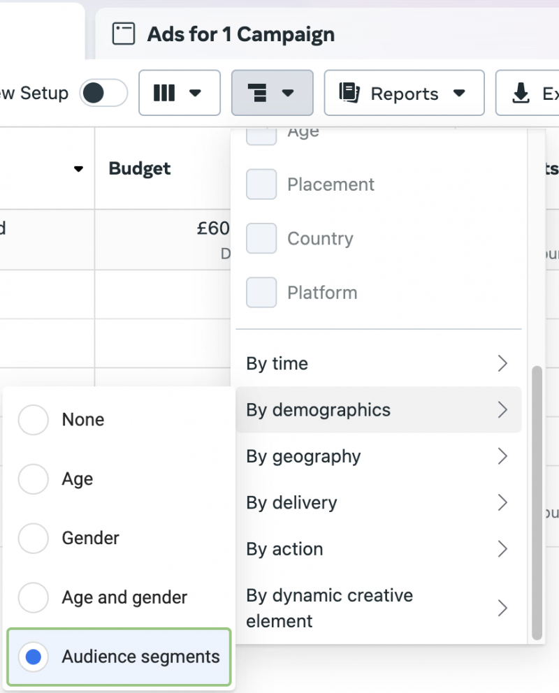 facebook ads segmentacja grupy odbiorców - meta ads
