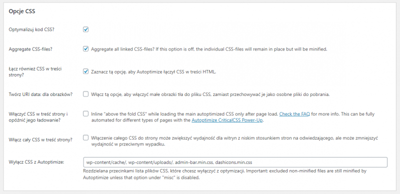 Autoptimize - konfiguracja wtyczki - opcje CSS