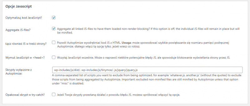 Autoptimize - konfiguracja wtyczki - javascript