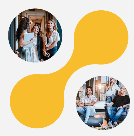 performers.pl - opinie - sieć afiliacyjna