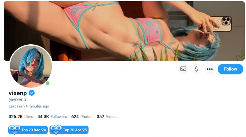 fansly - przykładowy profil - opinie