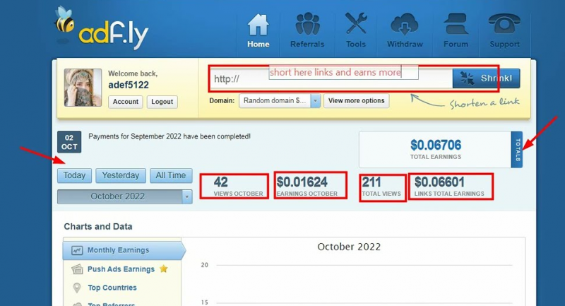 adf.ly statystyki - opinie