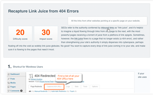 CanIRank - pozycjonowanie - opinia