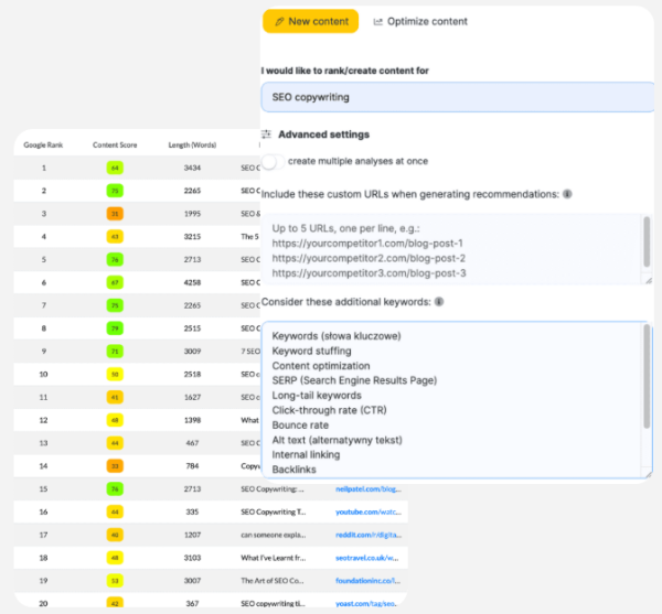 NeuronWriter - opinia