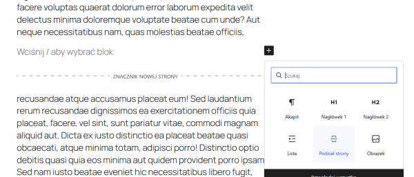 paginacja-strony.png